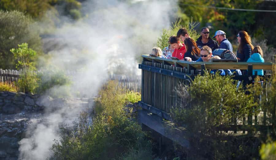 Rotorua: Whakarewarewa Village Guided Tour - Sweetcorn cooked in geothermal heat: small taste, big lesson