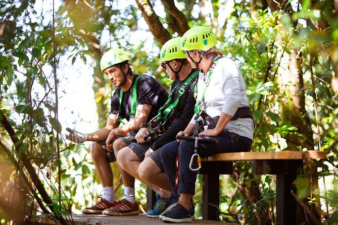 Rotorua Ziplines - Okere Falls Experience - Okere Falls Stop 2 (the Okere Falls Track): boardwalk time and Māori tea breaks