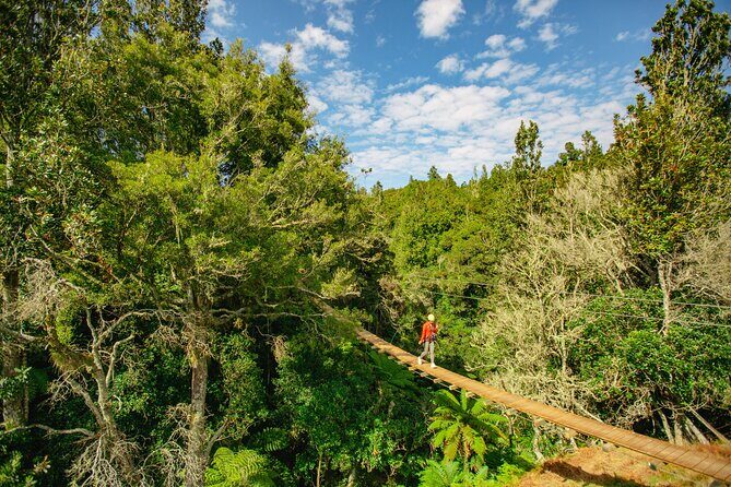 Rotorua Ziplines - Okere Falls Experience - Māori partnership and reforestation: why this tour feels more than a thrill ride
