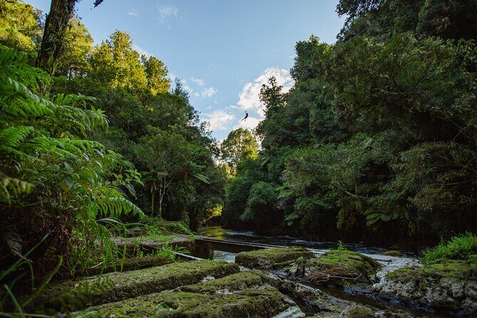 Rotorua Ziplines - Okere Falls Experience - Walking, weather, and who might want to rethink the plan