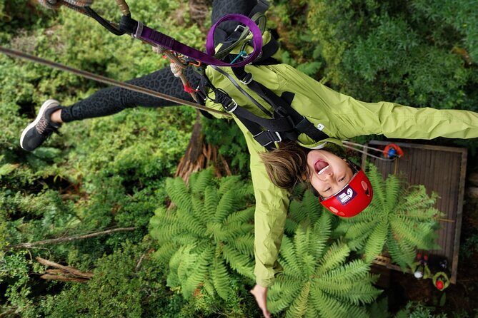 Rotorua’s Ultimate Zipline: 6 ziplines, 400 m Tandem, Cliff Walk - Key things to know before you go
