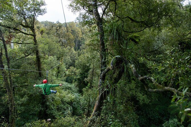Rotorua’s Ultimate Zipline: 6 ziplines, 400 m Tandem, Cliff Walk - Weather and timing: dress for Rotorua, not for your hopes