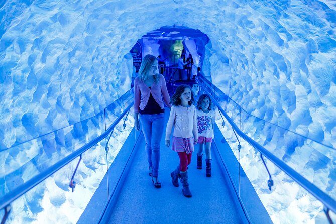 SEA LIFE Kelly Tarlton's General Admission - Shark Tunnel and the overhead sensation of stingrays