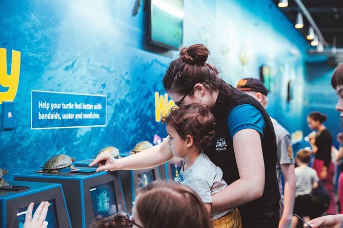 SEA LIFE Kelly Tarlton's General Admission - Photo rules, comfort tips, and how to avoid the “we rushed it” feeling