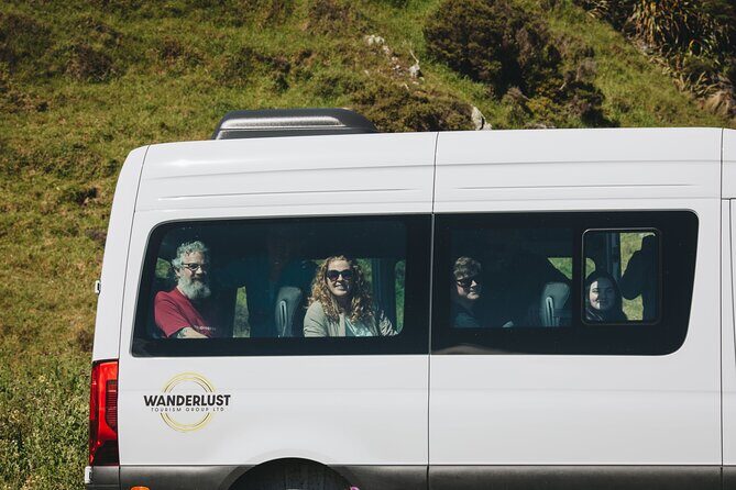 Seal Coast Safari - Exclusive access to Wellington's secret coast - Why this seal trip feels different from a standard “wildlife stop”