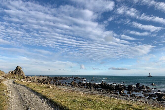 Seal Coast Safari - Exclusive access to Wellington's secret coast - Cape Terawhiti and Karori Rock: the leaning lighthouse moment
