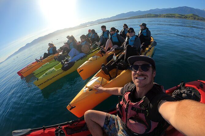 Seal Kayaking Adventure in Kaikoura - Guides Who Actually Put You in the Right Spots