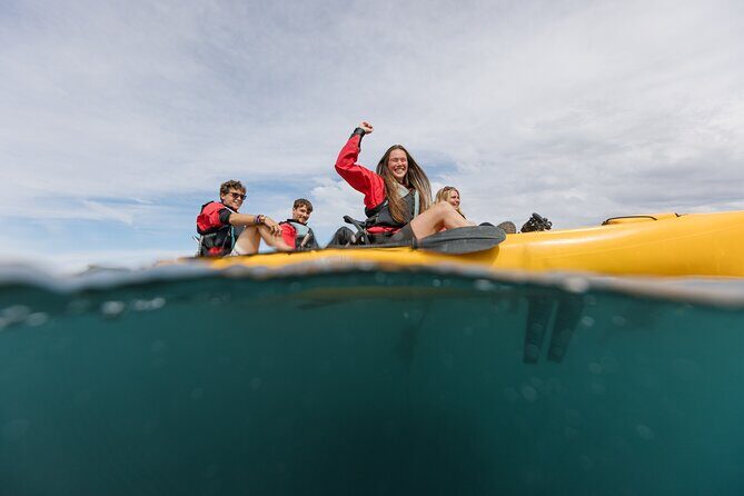 Seal Kayaking Adventure in Kaikoura - How Much Fitness Do You Need?