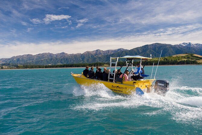 Seal Swimming Tour from Kaikoura - Gear provided: wetsuits, snorkel setup, and why that’s better than you think