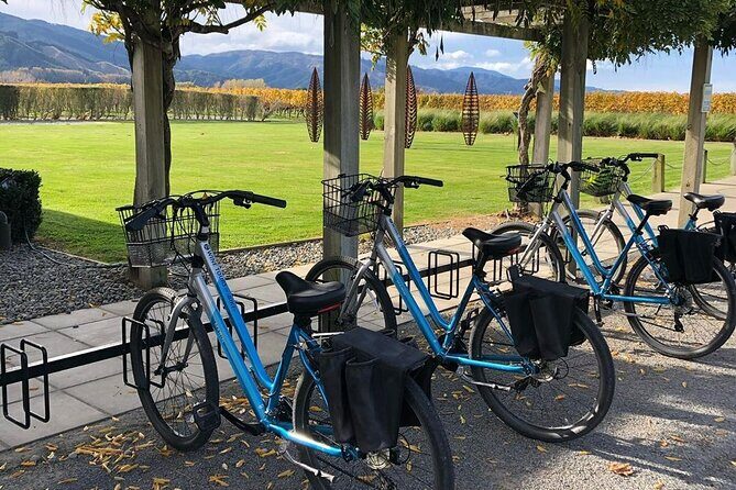 Self-Guided Wine Tours by Bike with Lorelle & Greg - Your day on wheels: choosing tastings at your own pace