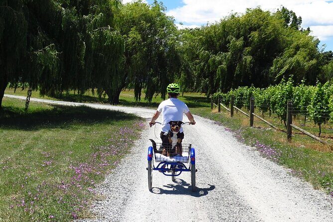 Self-Guided Wine Tours by Bike with Lorelle & Greg - Getting set up: Lorelle, Greg, and a bike that feels easy fast