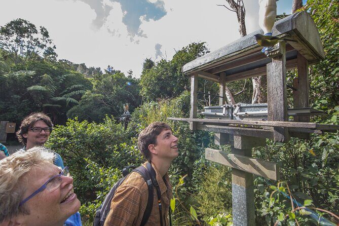 Small Group Daytime 2-Hour Eco Wildlife Tour at Zealandia - Zealandia in Wellington: a walk where native wildlife matters
