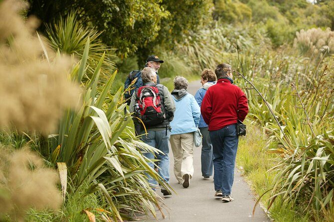 Small Group Daytime 2-Hour Eco Wildlife Tour at Zealandia - Reptiles on the trail: green gecko and tuatara