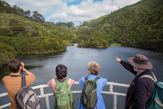 Small Group Daytime 2-Hour Eco Wildlife Tour at Zealandia - Why the guide matters more than you think