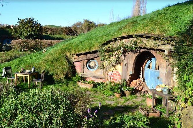 Small-Group Hobbiton and Waitomo Day Tour with Lunch from Auckland - Group size, guides, and comfort in the Bush and Beach van