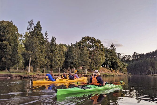 Tauranga: Evening Glowworm Kayak Tour - McLaren Falls Park and Lake McLaren: Nibbles, Birds, Then Into Double Kayaks