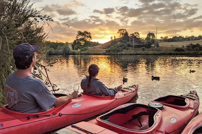 Tauranga: Evening Glowworm Kayak Tour - Weather, Water Conditions, and the Effort Level You Should Plan For