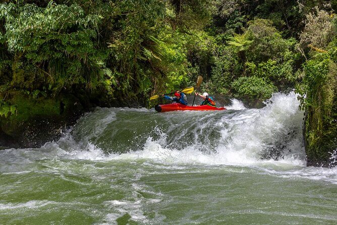Tauranga Shore Excursion: Rotorua Highlights - Key highlights worth your attention