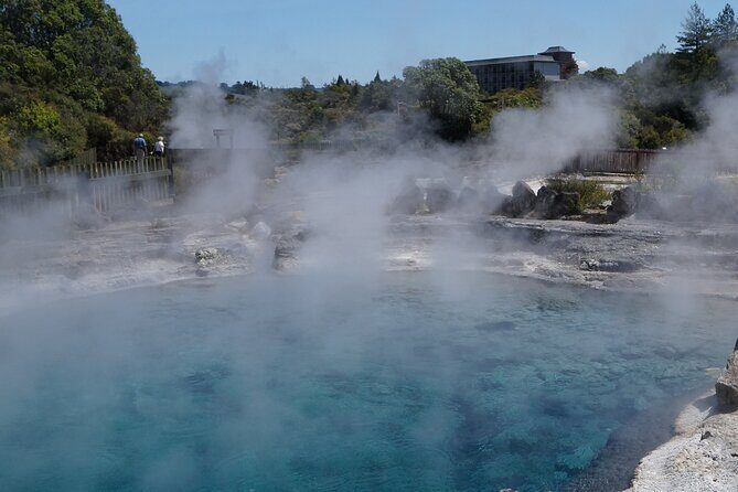 Tauranga Shore Excursion: Rotorua Highlights - From Tauranga to Rotorua: the road trip that sets the tone