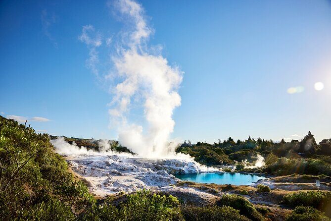 Tauranga Shore Excursion: Rotorua Highlights - Rotorua lunch break: a 45-minute window you should plan for