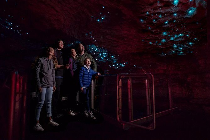 Te Anau Glow Worm Caves Tour - RealNZ meeting point in Te Anau: start simple, start on time