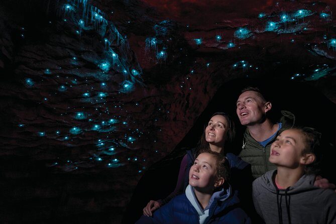 Te Anau Glow Worm Caves Tour - Cavern House briefing: glowworms and cave formation, explained in plain language