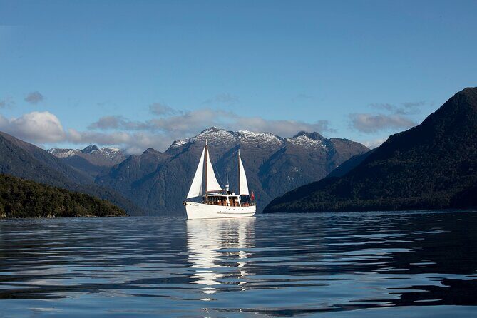 Te Anau Glow Worm Caves Tour - Timing, weather, and how a rainy Te Anau day can still work