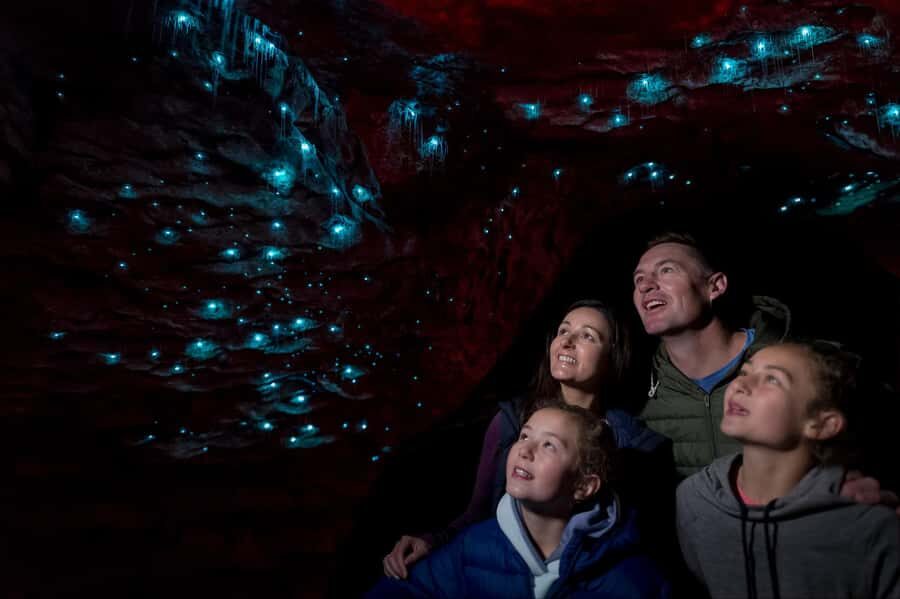 Te Anau: Glowworm Caves Guided Tour - The cave walk: waterfalls, whirlpools, and working limestone