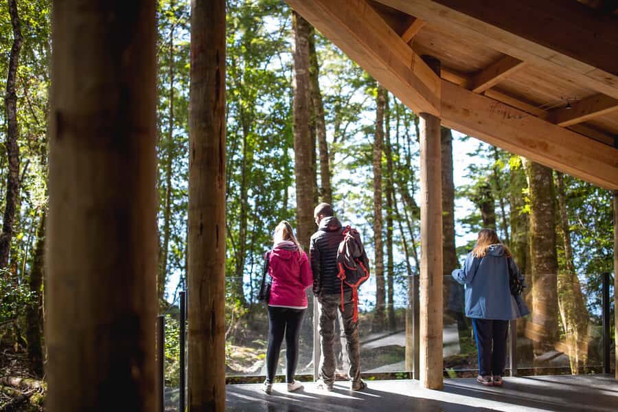 Te Anau: Glowworm Caves Guided Tour - The glowworm grotto boat ride in near-total darkness