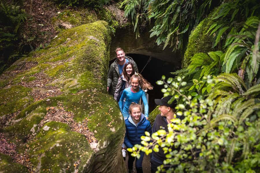Te Anau: Glowworm Caves Guided Tour - What to bring (and what to leave behind)
