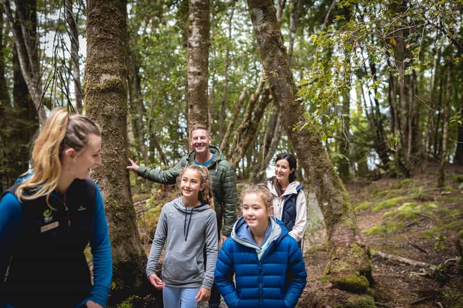 Te Anau: Glowworm Caves Guided Tour - Price and value: is $77 worth it?