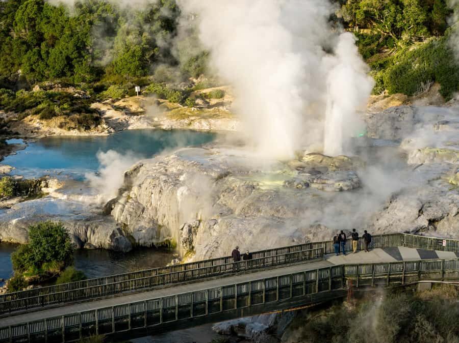 Te Puia: Te Rā Guided Day Tour - Why this 90-minute Te Puia tour works so well
