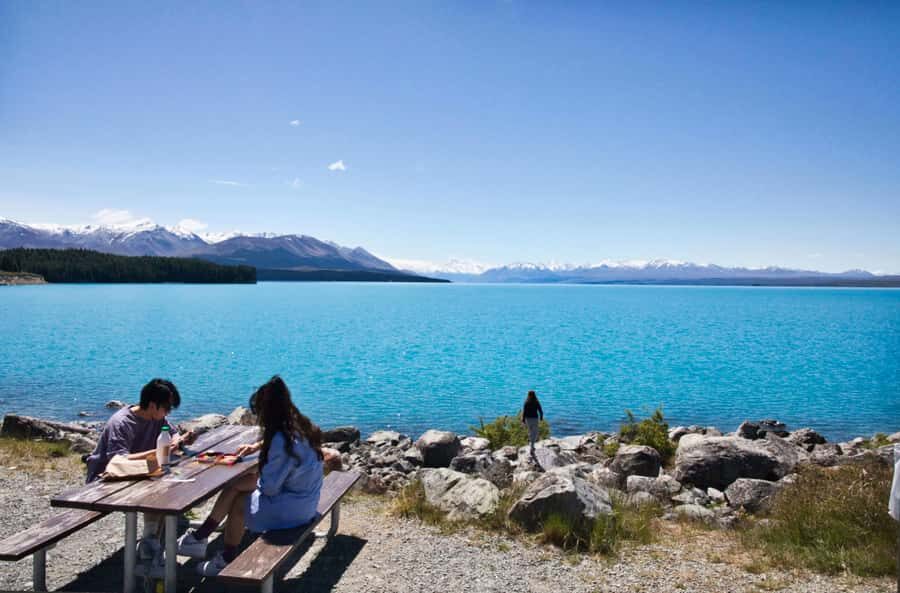 Tekapo Shuttle: Mt Cook Day Tour via Pukaki & Tasman Lake - Key things you’ll notice on this tour