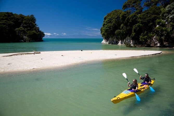 The Family Cruiser - Should you book the Family Cruiser in Mārahau?