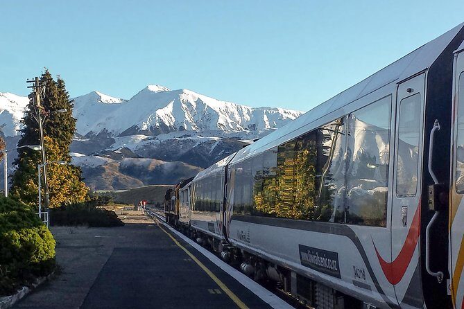 TranzAlpine Train Journey: Christchurch to Greymouth - Beeches and West Coast rain forest vibes: the descent toward Greymouth
