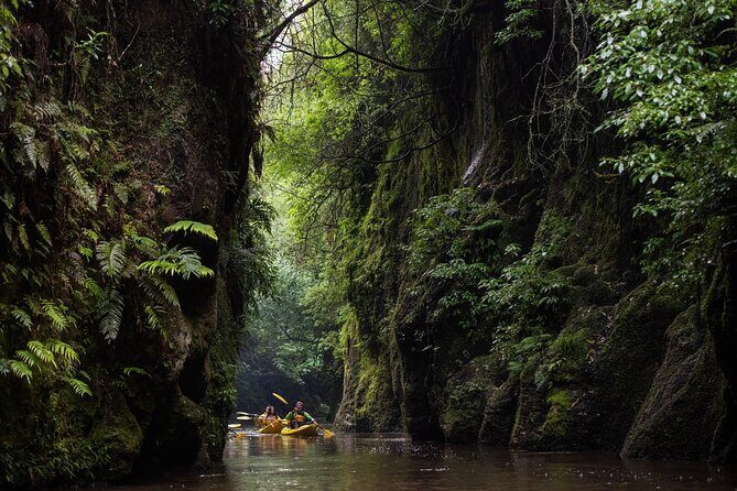 Twilight Glowworm Kayak Tour – Lake Karapiro - Glowworms and gorge vibes: what you’re actually seeing