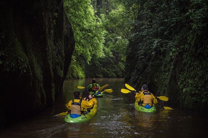 Twilight Glowworm Kayak Tour – Lake Karapiro - Night sky bonus: stars over the Waikato when conditions cooperate