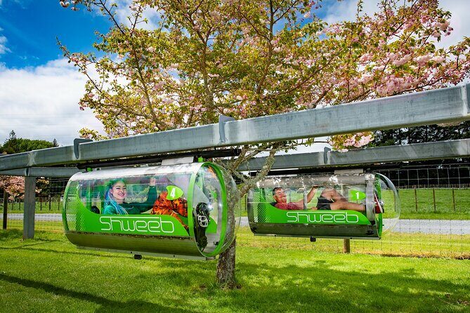 Velocity Valley Rotorua - Who should book Velocity Valley (and who should think twice)