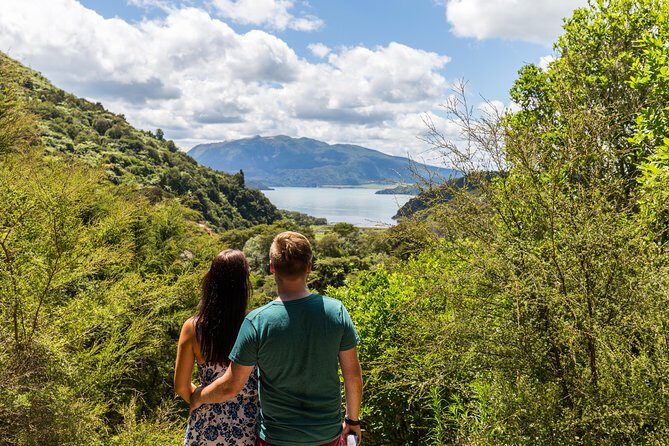 Volcanic Valley Self Guided Walking and Hiking at Waimangu - Forest, wetlands, and nature spotting beyond the geysers