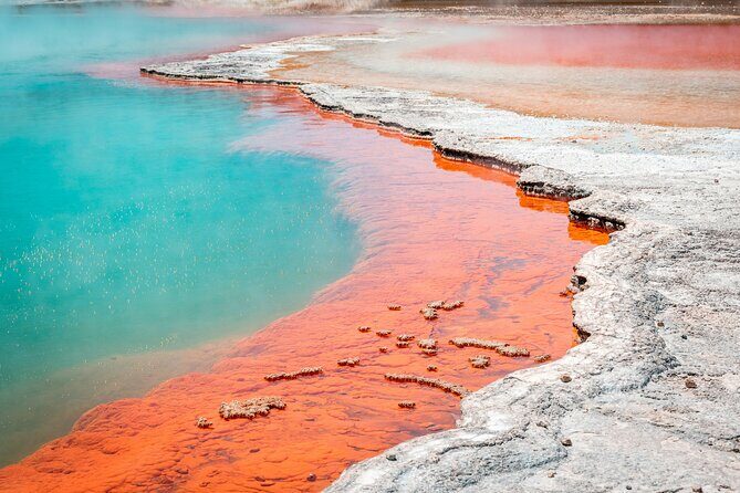 Wai-O-Tapu Thermal Wonderland, Rotorua, New Zealand - Key Things I’d Focus On Before You Go