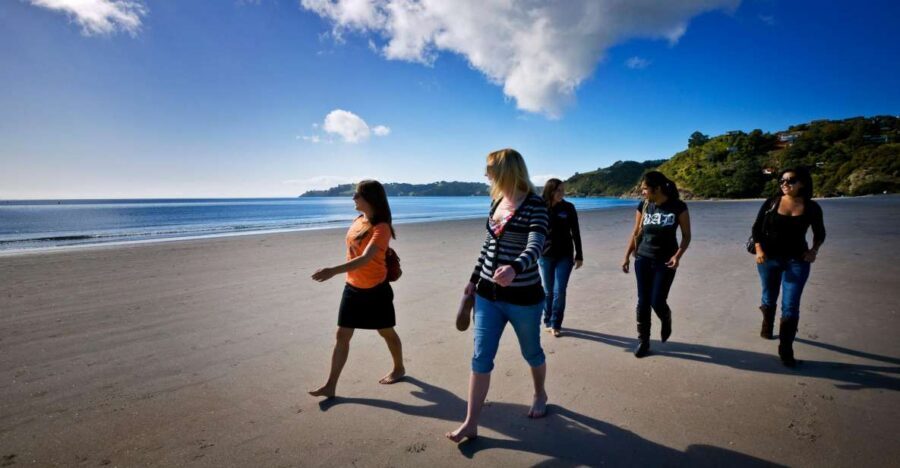 Waiheke Island: Ferry & Hop-On Hop-Off Explorer Bus Tickets - Olive oil, tea breaks, and food stops that keep you happy