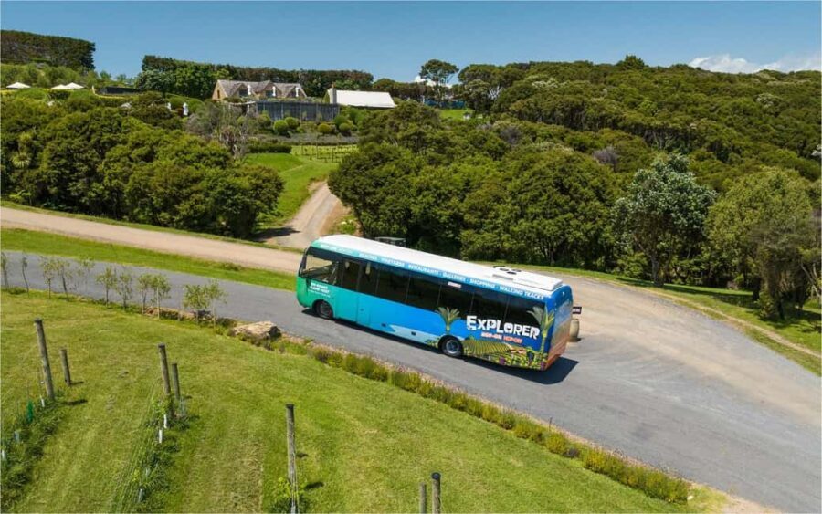 Waiheke Island: Ferry & Hop-On Hop-Off Explorer Bus Tickets - Price and value: what $59 buys (and what it doesn’t)