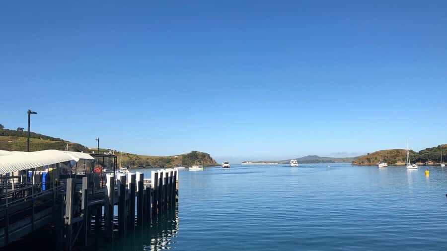 Waiheke Island Gourmet Food and Wine Tour with Lunch - The 9:45 AM Start at Matiatia Wharf (and Why It Matters)