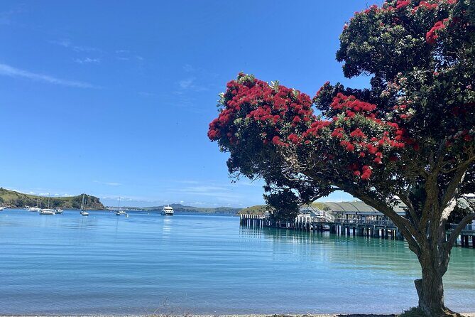 Waiheke Island Gourmet Food and Wine Tour - Price and value: what $212.86 buys (and what to budget for)
