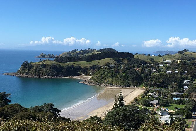 Waiheke Island Hop-On Hop-Off Explorer Bus - Beaches, viewpoints, and the payoff of not driving