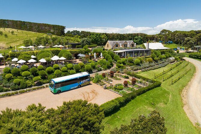 Waiheke Island Hop-On Hop-Off Explorer Bus - How the hop-on hop-off bus actually plays out all day