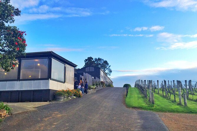 Waiheke Island Premium Wine Tour with Tastings - Key Points You’ll Care About