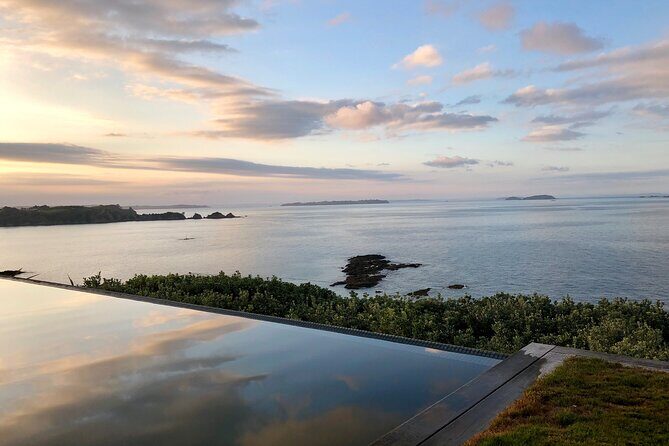 Waiheke Island Premium Wine Tour with Tastings - Why Waiheke Wine Days Feel Easy (Even When the Island Isn’t)