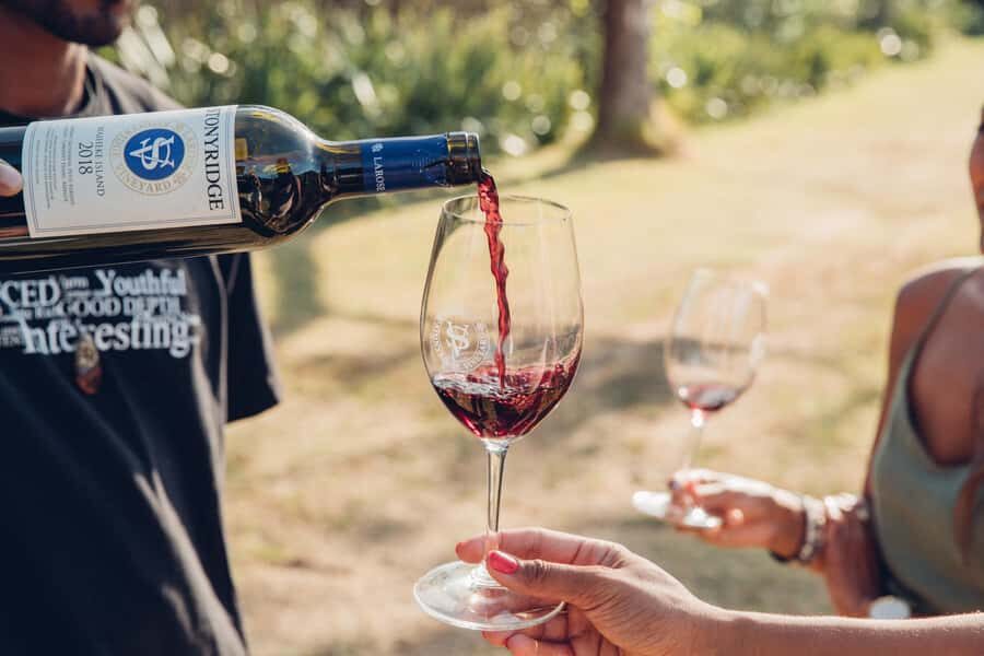 Waiheke Island: Scenic Island Wine Tour & Local Wine Tasting - Weather is part of the deal: how to protect your views (and your mood)