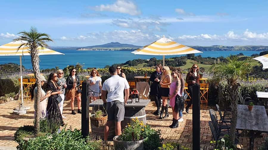 Waiheke Island: Scenic Island Wine Tour & Local Wine Tasting - Getting Around Waiheke the easy way: wine tours that actually move
